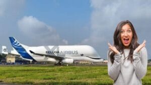 Beluga XL in Kolkata