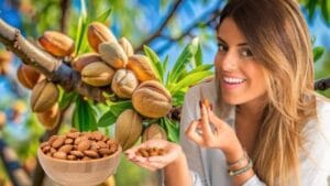 Benefits of Almonds