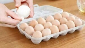 Plastic Egg