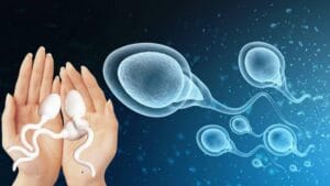 Semen