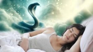 Snakes in Dream Meaning