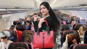 Allowed Food on Airplanes