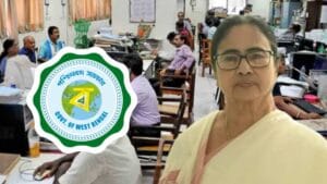 Government Employees
