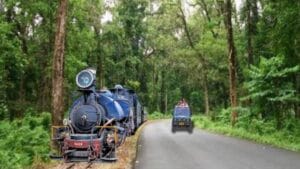 North Bengal Tour